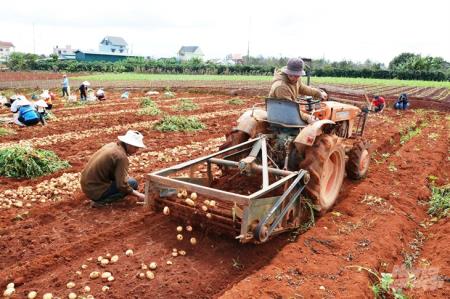 Nguy cơ bị tai nạn lao động từ việc sử dụng máy móc nông nghiệp