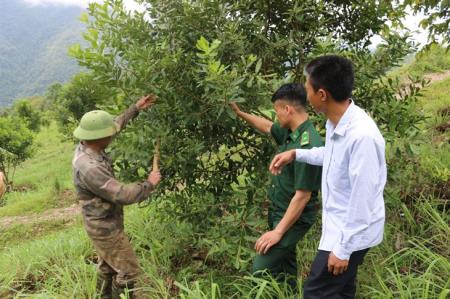 Ka Lăng nỗ lực hoàn thành các tiêu chí nông thôn mới