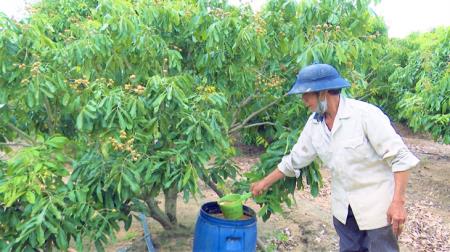 Người dân linh động thích ứng khi giá phân bón và vật tư nông nghiệp tăng cao