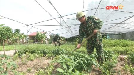 Màu xanh trên vùng đất nóng
