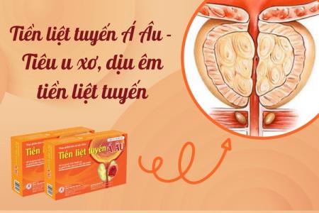 Tiền Liệt Tuyến Á Âu - Tiêu u xơ, dịu êm tiền liệt tuyến
