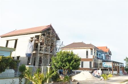 Chuyện làm giàu ở bãi ngang Hải Ninh