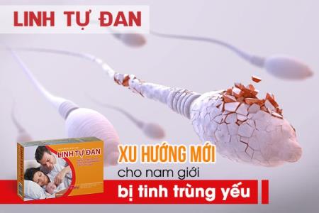 Linh Tự Đan - Giải pháp cải thiện tinh trùng yếu, tăng khả năng thụ thai
