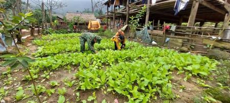 Tăng gia sản xuất ở đồn Biên phòng mang lại lợi ích “kép”