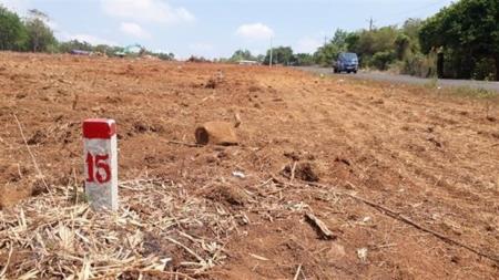 Xử lý nghiêm hành vi tham nhũng, tiêu cực trong quản lý đất đai