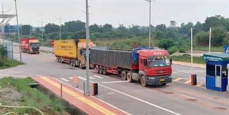Đưa Móng Cái trở thành cửa ngõ xuất nhập khẩu hàng nông, thủy sản