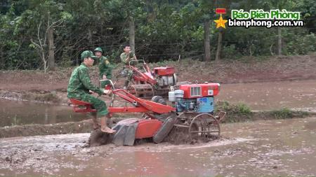 Lính Biên phòng làm nông dân ở bản Ka Ai