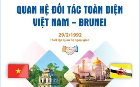 Quan hệ Đối tác toàn diện Việt Nam-Brunei ngày càng phát triển