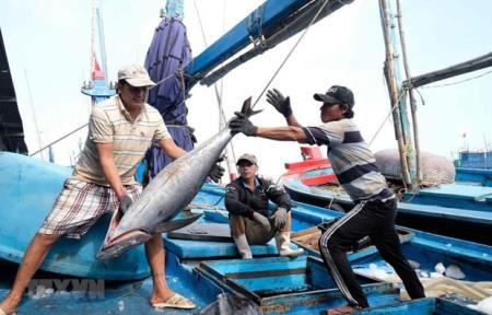 Bến Tre kêu gọi ngư dân chống khai thác thủy sản bất hợp pháp