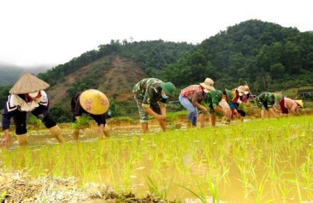 Xuống đồng giúp dân cấy lúa vụ Xuân