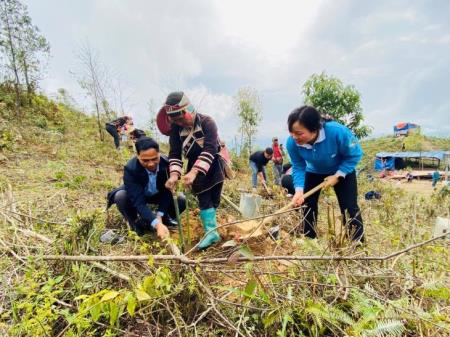 Lai Châu: Triển khai mô hình “Lũy tre biên thùy”