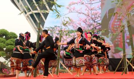 Ấn tượng Lễ hội Hoa Ban