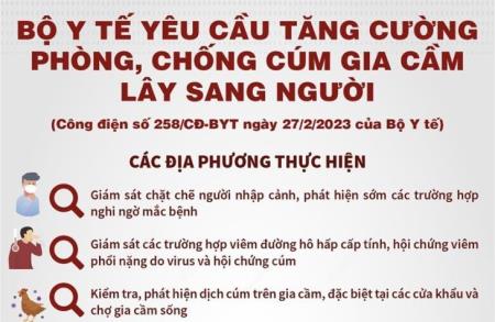 Bộ Y tế yêu cầu tăng cường phòng, chống cúm gia cầm lây sang người