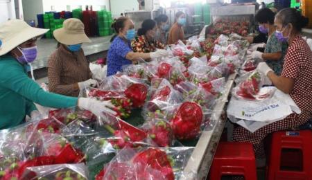 Bảo đảm nguồn nông sản xuất khẩu