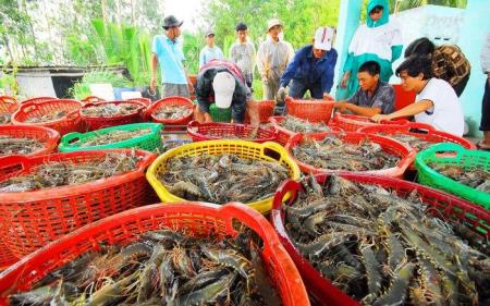Giữ vững thị trường xuất khẩu thủy sản