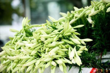 Thương nhớ tháng 4