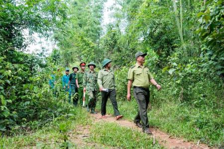 Chung tay quản lý, bảo vệ rừng biên giới