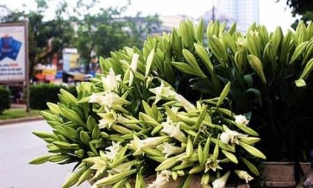 Cảm xúc tháng Tư