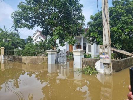 Triển khai Tuần lễ Quốc gia phòng, chống thiên tai với chủ đề “Từ ứng phó đến hành động sớm”