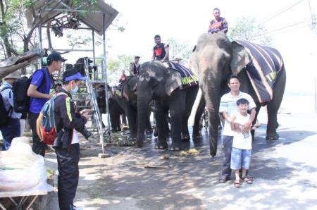 Du lịch thân thiện với voi - Hướng đi nhân văn