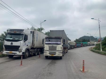 Vì sao kim ngạch xuất khẩu nông, lâm, thủy sản giảm?