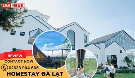 DalatNews gợi ý những homestay nên lựa chọn khi du lịch Đà Lạt