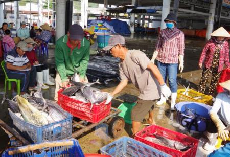 “Cổ đông” trên tàu đánh cá