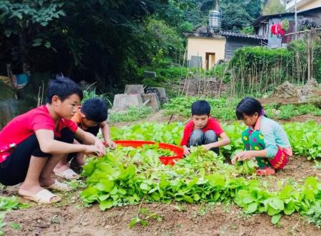 BĐBP gắn bó máu thịt với nhân dân khu vực biên giới (bài 3)