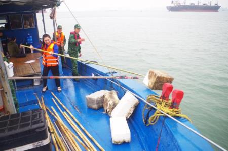 Thúc đẩy các giải pháp hiệu quả giải quyết vấn đề ô nhiễm nhựa ngành nông nghiệp một cách hệ thống và toàn diện