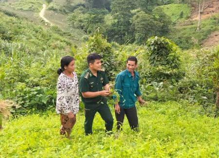 Chuyển đổi tư duy, giảm nghèo bền vững nơi cực Bắc Tây Nguyên