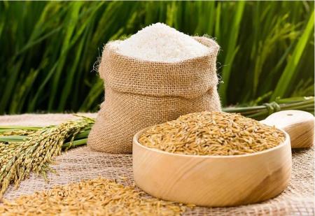 Chiếm lĩnh thị phần gạo toàn cầu