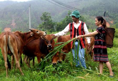 Dấu ấn các chương trình, chính sách dân tộc trên dải Trường Sơn